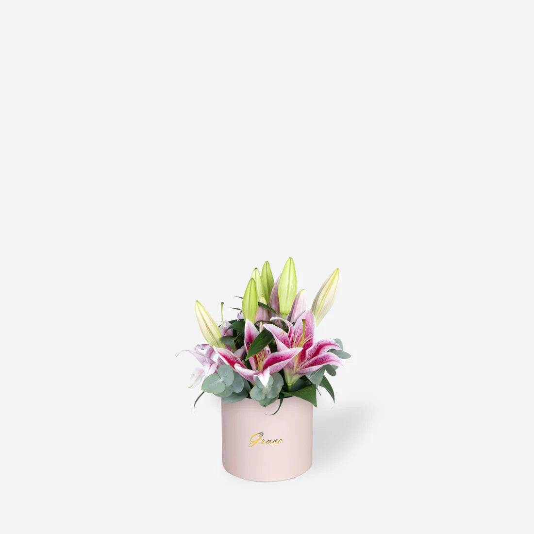 Pink Lily in Box