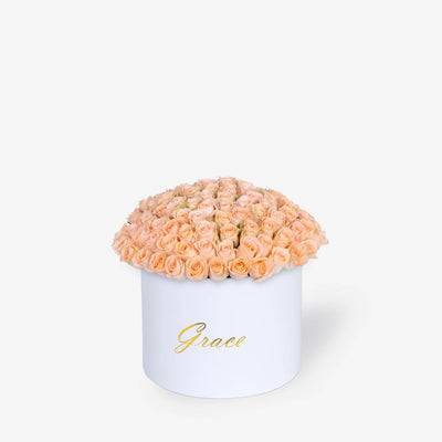 Peach Roses in Box